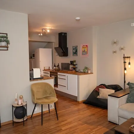 Cozy Penthouse Private Balcony Centre アパート スタヴァンゲル